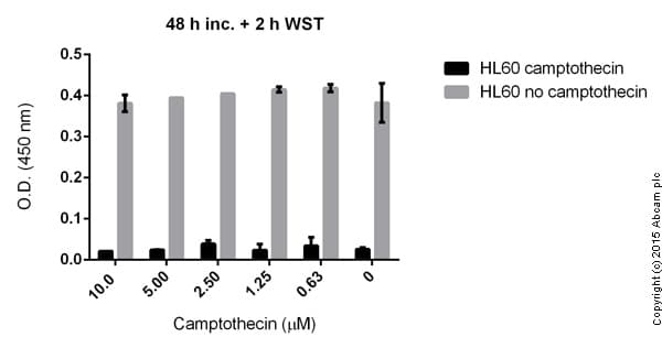 WST-8 Assay Kit (Cell Proliferation)(AB65475)