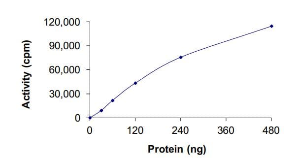 Recombinant human Flt3 / CD135 protein (L610_E611insCSSDNEYFYVDFREYEYDLKWEF-PRENL) (Active)(AB268586)