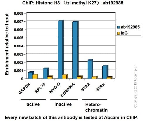 Anti-Histone H3 (tri methyl K27) antibody [EPR18607] - ChIP Grade(AB192985)