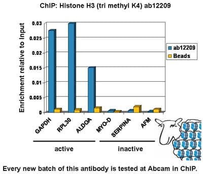 Histone H3 (K4 methylation) Panel (mono methyl K4, di methyl K4, tri methyl K4)(AB103938)