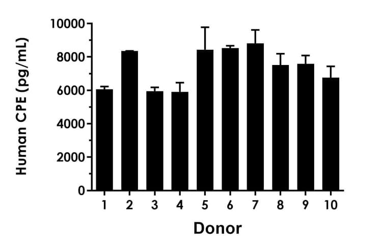 Human CPE ELISA Kit - Extracellular(ab309191)
