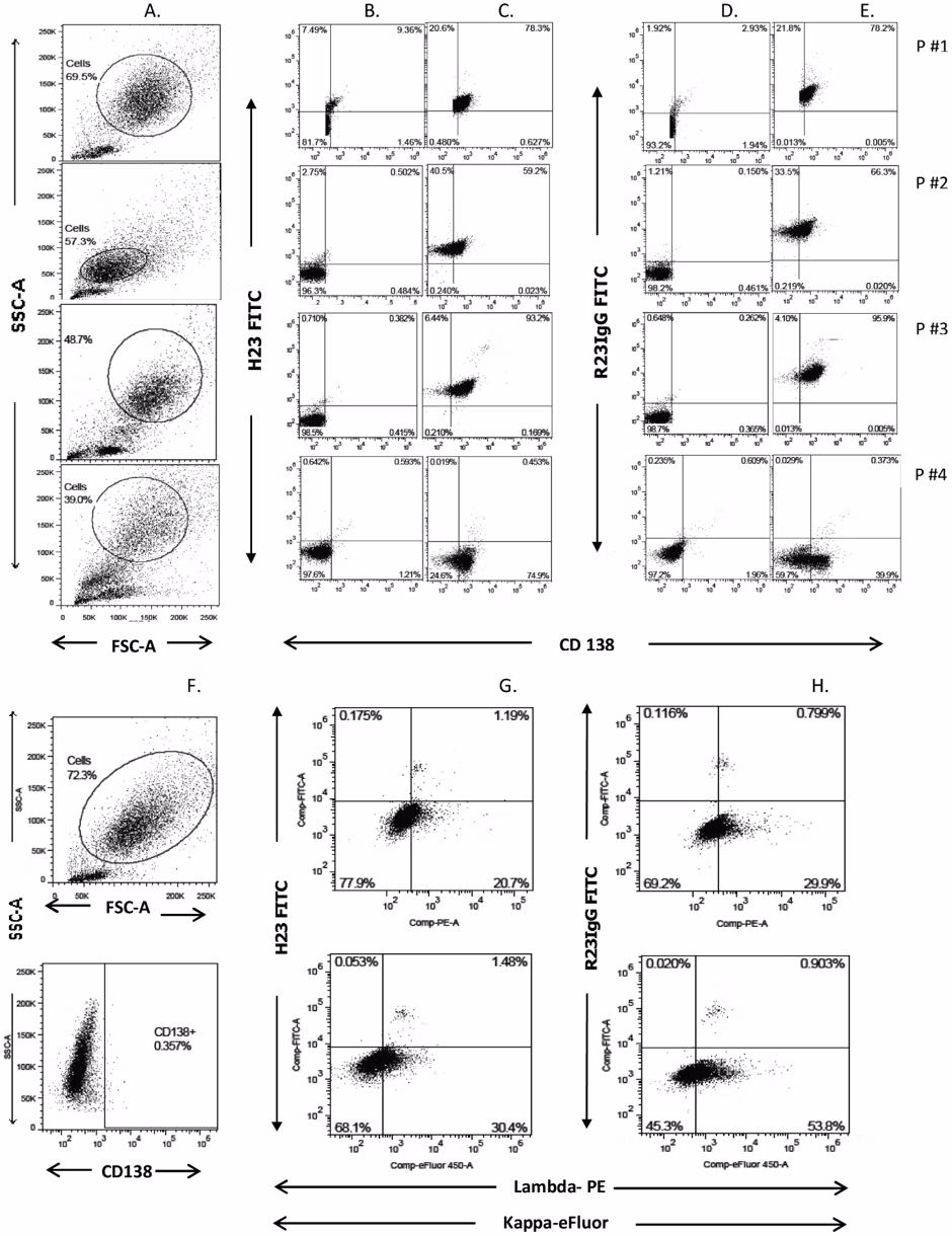 PE/R-Phycoerythrin conjugation kit - Lightning-Link® labeling anti-MUC1 SP antibodies for FACS analysis of MUC1 SP domain presence