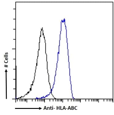 Anti-HLA-ABC Antibody [Bu8](AB316357)