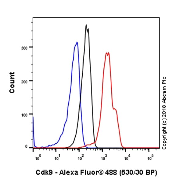 Anti-Cdk9 antibody [EPR3119Y](AB76320)