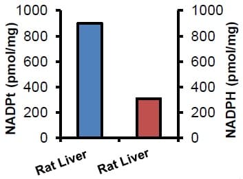 NADP/NADPH Assay Kit(AB65349)