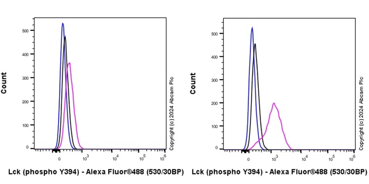 Anti-Lck (phospho Y394) antibody [EPR27974-93](AB318960)