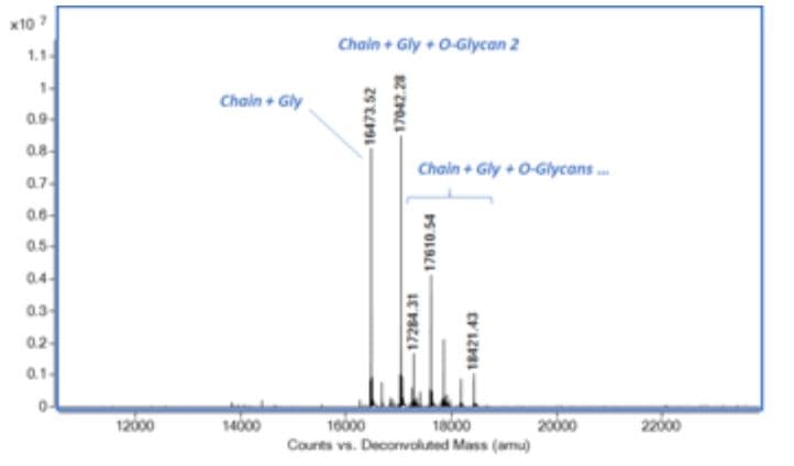 Ab280753  Mass Spectrometry Img120879