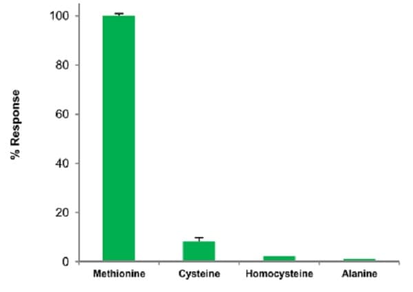 Methionine Assay Kit (Fluorometric)(AB234041)