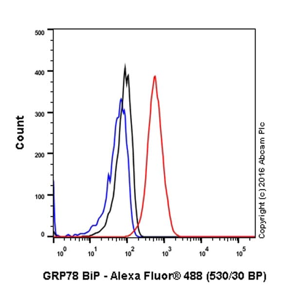 Anti-GRP78 BiP antibody [EPR4041(2)] - BSA and Azide free(AB236050)