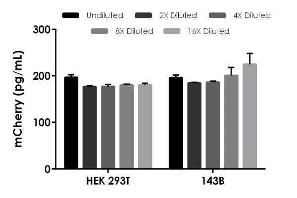 Sandwich ELISA mCherry ELISA Kit (ab221829) showing interpolated concentrations of spiked mCherry in HEK 293T and 143B cell extracts.