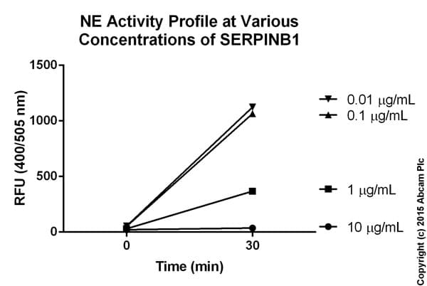 Neutrophil Elastase Inhibitor Assay Kit(AB118971)