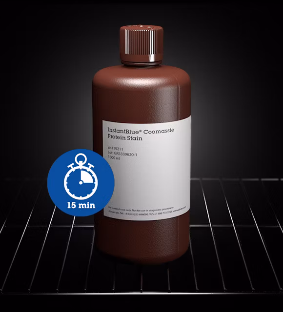 Staining - InstantBlue® Coomassie Protein Stain (ISB1L) (ab119211)