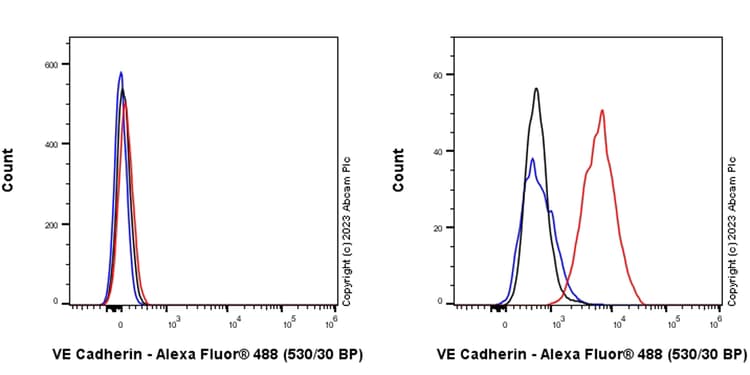 Anti-VE Cadherin antibody [EPR27436-55] - BSA and Azide free(AB313633)