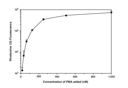 Respiratory Burst Assay Kit (Neutrophil/Monocyte)(ab236210)