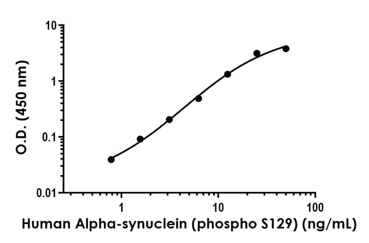Anti-Alpha-synuclein antibody [MJFR1] - BSA and Azide free (Capture/Detector)(AB259612)