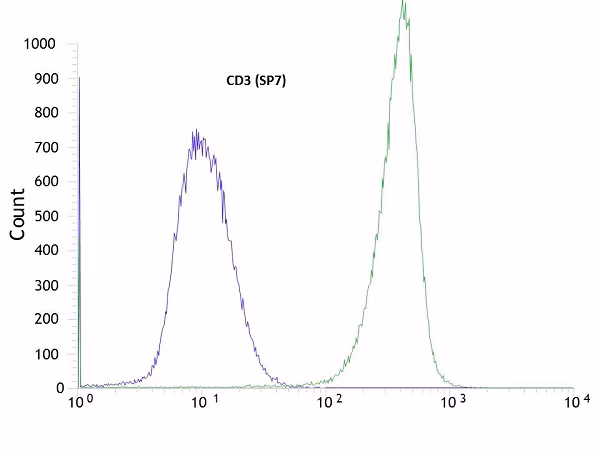 Flow cytometry of Jurkat cells: rabbit anti-CD3 epsilon antibody (green) vs. negative control rabbit IgG (blue), dilution 1/100