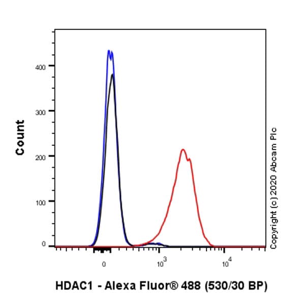 Anti-HDAC1 antibody [EPR23847-170](AB280198)