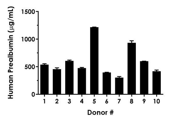 Sandwich ELISA of human prealbumin kit (ab231920) with serum from ten healthy male donors measured in duplicate.