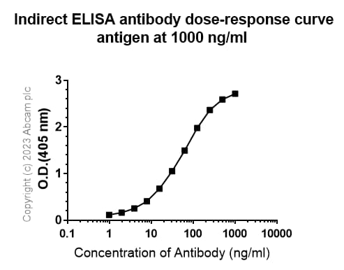 Anti-Sez6 antibody [EPR28518-55](AB314233)