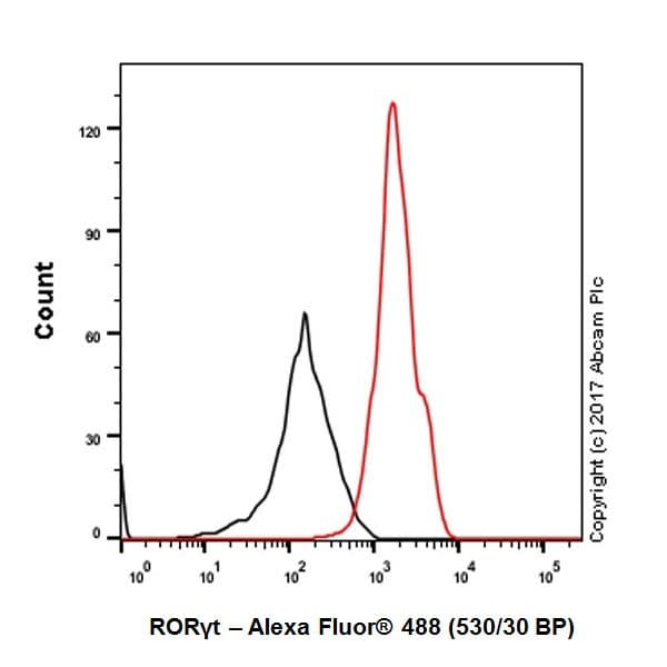 Anti-ROR gamma antibody [EPR20006] - BSA and Azide free(AB232516)