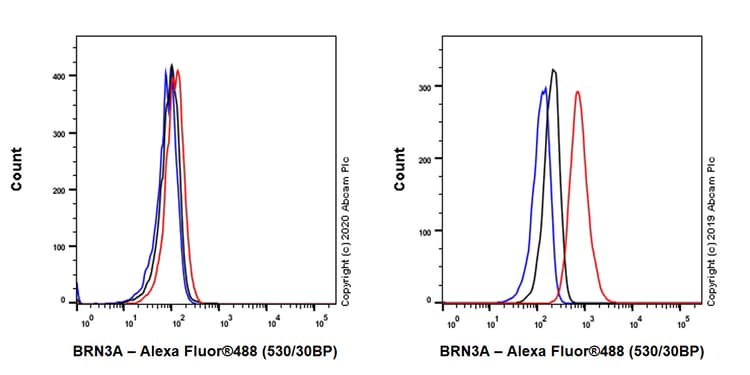 Anti-BRN3A antibody [EPR23257-285](AB245230)