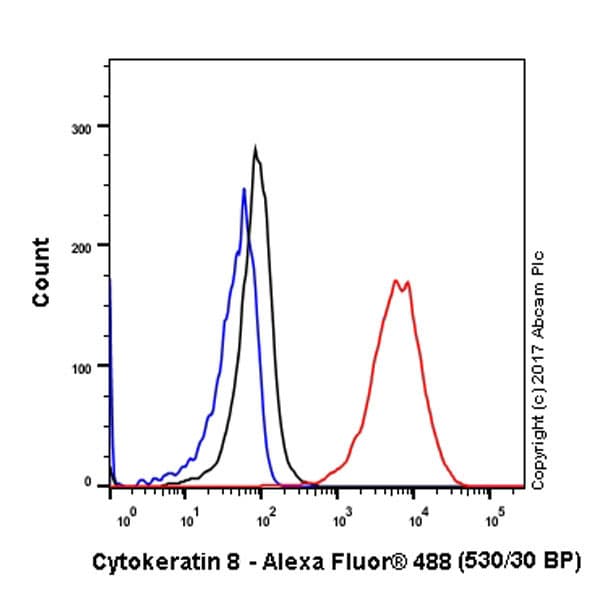Anti-Cytokeratin 8 antibody [EP1628Y] - Cytoskeleton Marker(AB53280)