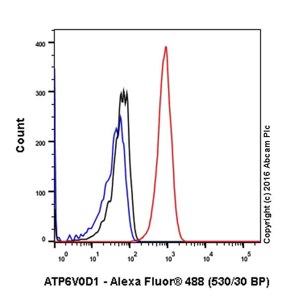 Anti-ATP6V0D1/P39 antibody [EPR18320-38](AB202899)
