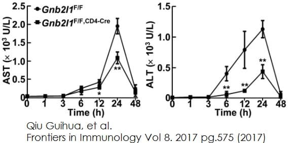 Aspartate Aminotransferase Activity Assay Kit(AB105135)