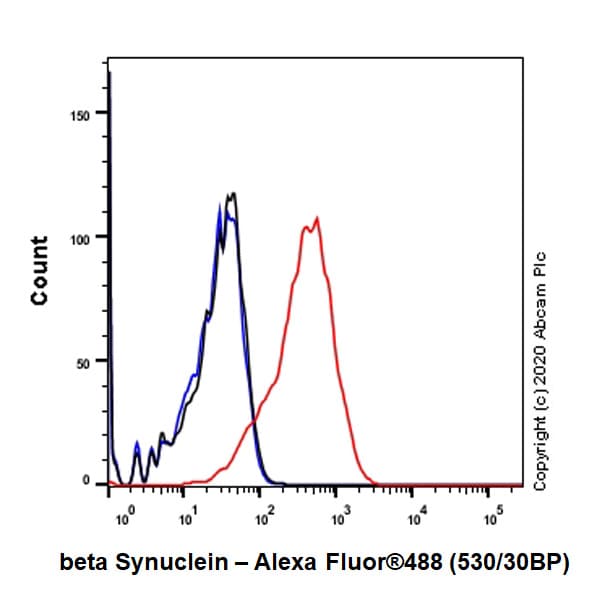Anti-beta Synuclein antibody [EP1537Y] - BSA and Azide free(AB221908)