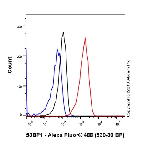 Anti-53BP1 antibody [EPR2172(2)](AB175933)