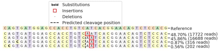 Human L1cam Knockout Hela Cell Line Ab273836  Next Generation Sequencing Img172096