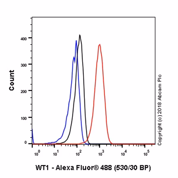 Intracellular Flow Cytometry analysis of K-562 (Human chronic myelogenous leukemia lymphoblast) cells labeling Wilms Tumor Protein with ab89901 at 1/200 dilution (0.1 μg)/ Red.