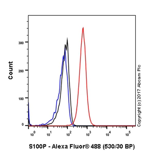 Anti-S100P antibody [EPR6142](AB124743)