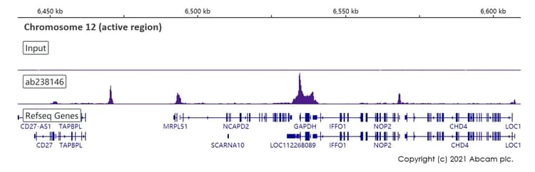 ChIP Kit (Transcription factors, ChIP-seq)(AB270813)