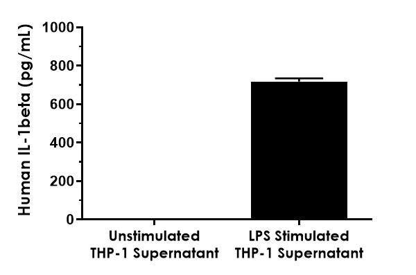 Bar graph showing IL-1beta levels in THP-1 cell supernatants, with significantly higher levels in LPS-stimulated cells compared to unstimulated cells.