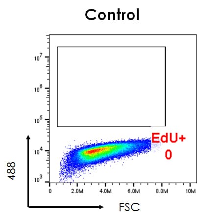 EdU Assay / EdU Staining Proliferation Kit (iFluor 488)(AB219801)
