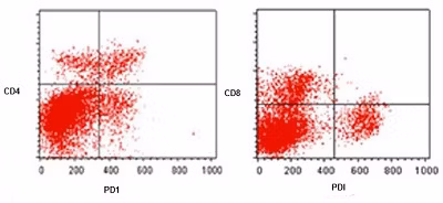 Flow cytometry analysis of human tonsil cell extract stained with anti-PD1 antibody (ab52587)