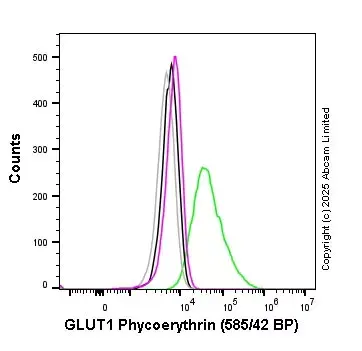 PE Rabbit IgG, monoclonal [EPR25A] - Isotype Control(AB209478)