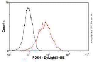 Anti-PDK4 antibody [1C2BG5](AB110336)