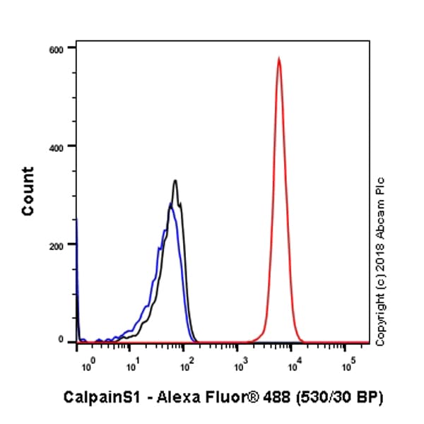 Anti-Calpain small subunit 1 antibody [SP81](AB101683)