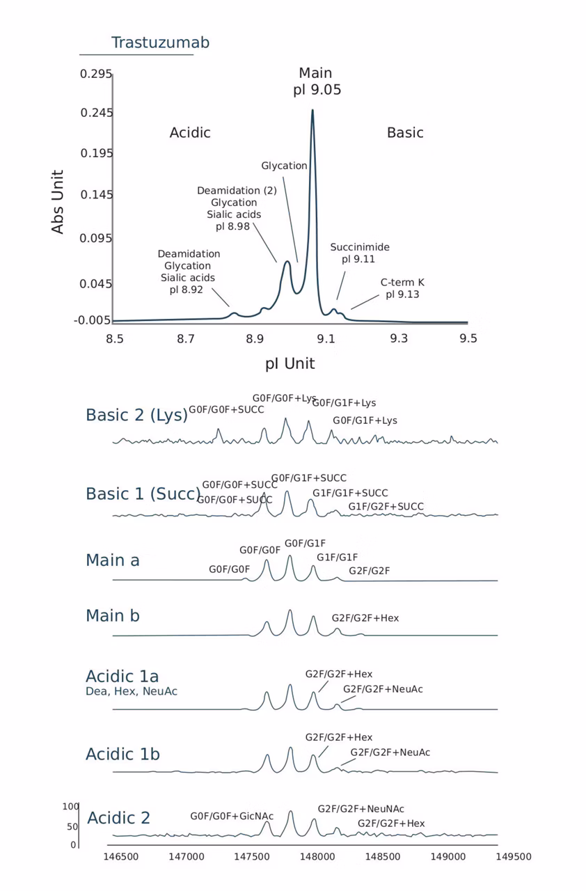 Identify Proteoforms That Could Impact Product Quality