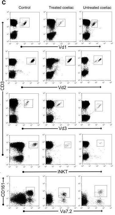 Flow cytometry data for control, treated, and untreated coeliac donors (Dunne et al., 2013).