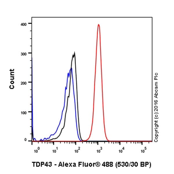Anti-TDP43 antibody [EPR5810](AB109535)