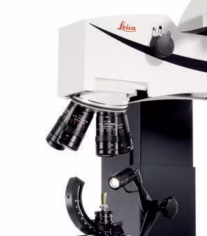 FS M 4 05 Kid21764619