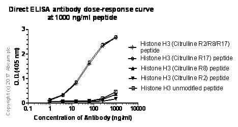 Anti-Histone H3 (citrulline R17) antibody [EPR20358-120](AB219407)