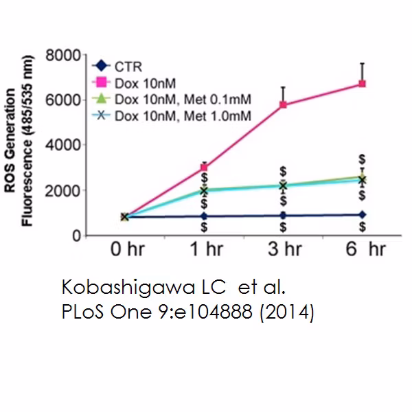 DCFDA ROS assay (ab113851) used in studying Doxorubicin cardiotoxicity and metformin's protective effects (Kobashigawa et al., Pubmed 25127116)