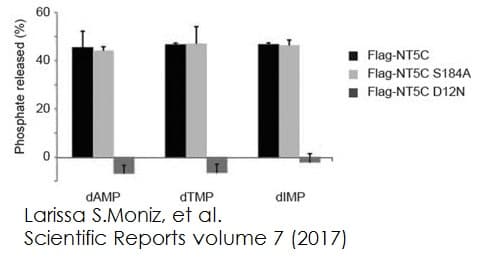 Phosphate Assay Kit (Colorimetric)(AB65622)