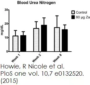 Urea Assay Kit(AB83362)