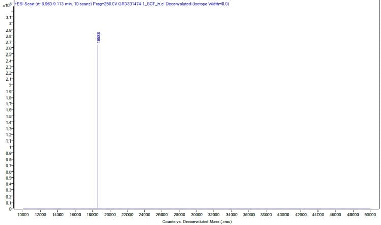 Recombinant human SCF protein (Active)(AB259391)