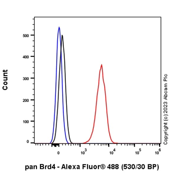 Anti-pan Brd4 antibody [EPR25424-71](AB314432)